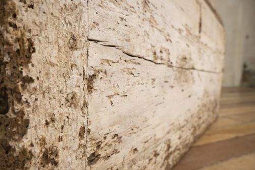 A 19TH CENTURY RUSTIC PAINTED COUNTRY HOUSE TRUNK - ADDITIONAL PHOTO 2