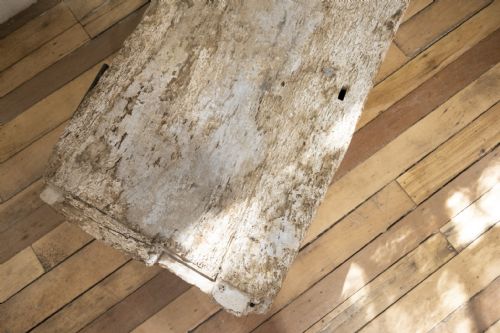 A 19TH CENTURY RUSTIC PAINTED COUNTRY HOUSE TRUNK - ADDITIONAL PHOTO 3