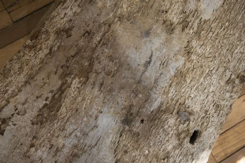A 19TH CENTURY RUSTIC PAINTED COUNTRY HOUSE TRUNK - ADDITIONAL PHOTO 4