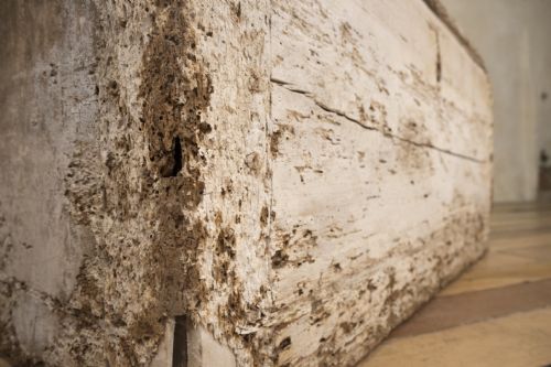 A 19TH CENTURY RUSTIC PAINTED COUNTRY HOUSE TRUNK - ADDITIONAL PHOTO 6