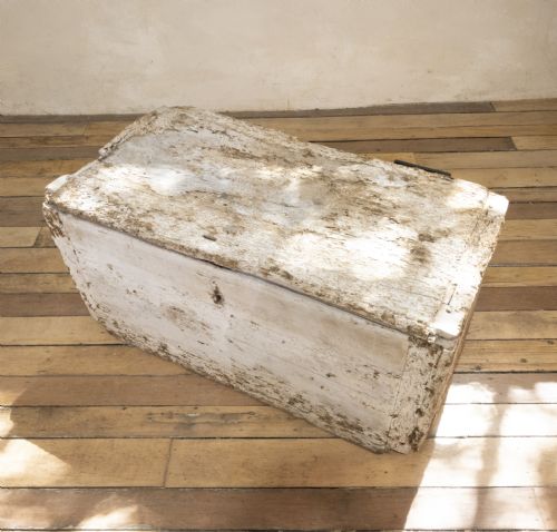 A 19TH CENTURY RUSTIC PAINTED COUNTRY HOUSE TRUNK - ADDITIONAL PHOTO 7