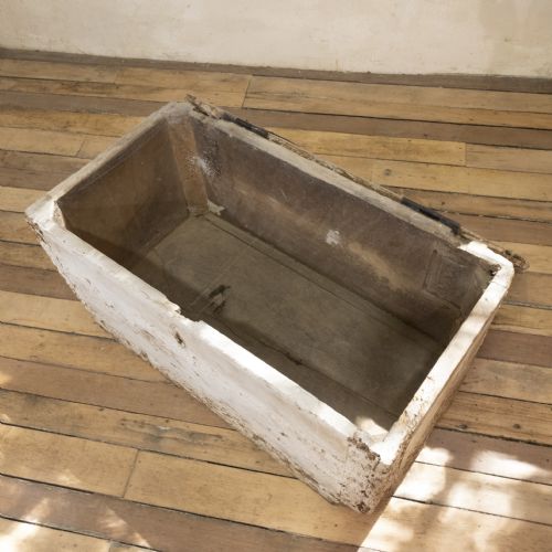 A 19TH CENTURY RUSTIC PAINTED COUNTRY HOUSE TRUNK - ADDITIONAL PHOTO 9