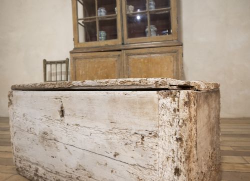 A 19TH CENTURY RUSTIC PAINTED COUNTRY HOUSE TRUNK - ADDITIONAL PHOTO 14