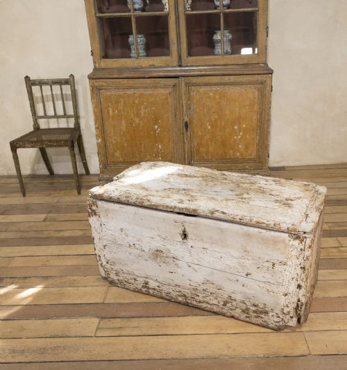 A 19TH CENTURY RUSTIC PAINTED COUNTRY HOUSE TRUNK - ADDITIONAL PHOTO 15