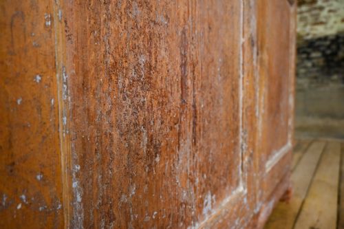 19TH CENTURY SWEDISH PAINTED ARMOIRE CUPBOARD - ADDITIONAL PHOTO 8
