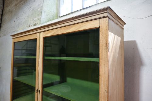 A LATE 19TH CENTURY REGENCY STYLE BLEACHED MAHOGANY GLAZED CABINET PAINTED - ADDITIONAL PHOTO 5