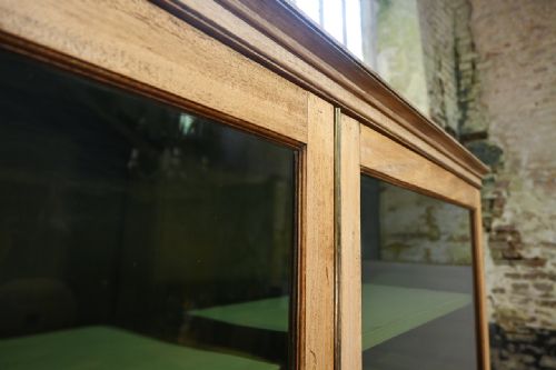 A LATE 19TH CENTURY REGENCY STYLE BLEACHED MAHOGANY GLAZED CABINET PAINTED - ADDITIONAL PHOTO 12