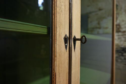 A LATE 19TH CENTURY REGENCY STYLE BLEACHED MAHOGANY GLAZED CABINET PAINTED - ADDITIONAL PHOTO 13