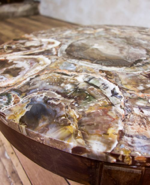 A 19TH CENTURY SMALL CIRCULAR WALNUT PETRIFIED WOOD LOW COFFEE TABLE FOSSIL - ADDITIONAL PHOTO 6