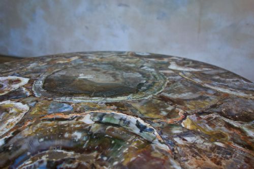 A 19TH CENTURY SMALL CIRCULAR WALNUT PETRIFIED WOOD LOW COFFEE TABLE FOSSIL - ADDITIONAL PHOTO 7