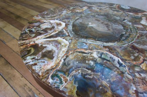A 19TH CENTURY SMALL CIRCULAR WALNUT PETRIFIED WOOD LOW COFFEE TABLE FOSSIL - ADDITIONAL PHOTO 8