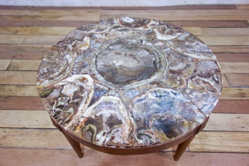 A 19TH CENTURY SMALL CIRCULAR WALNUT PETRIFIED WOOD LOW COFFEE TABLE FOSSIL - ADDITIONAL PHOTO 9