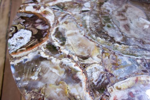 A 19TH CENTURY SMALL CIRCULAR WALNUT PETRIFIED WOOD LOW COFFEE TABLE FOSSIL - ADDITIONAL PHOTO 10