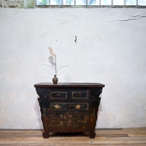 19TH CENTURY CHINESE BUTTERFLY CABINET SHANXI - ADDITIONAL PHOTO 4