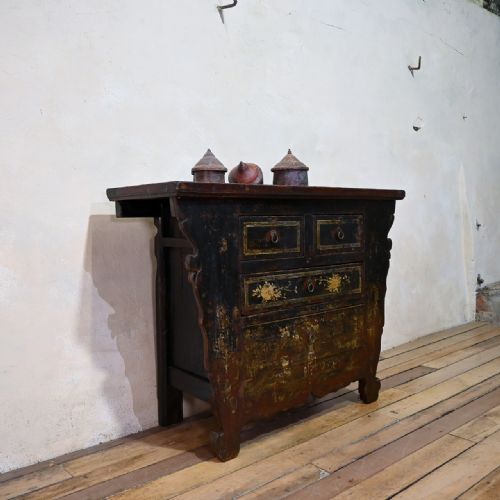 19TH CENTURY CHINESE BUTTERFLY CABINET SHANXI - ADDITIONAL PHOTO 1