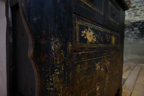 19TH CENTURY CHINESE BUTTERFLY CABINET SHANXI - ADDITIONAL PHOTO 2