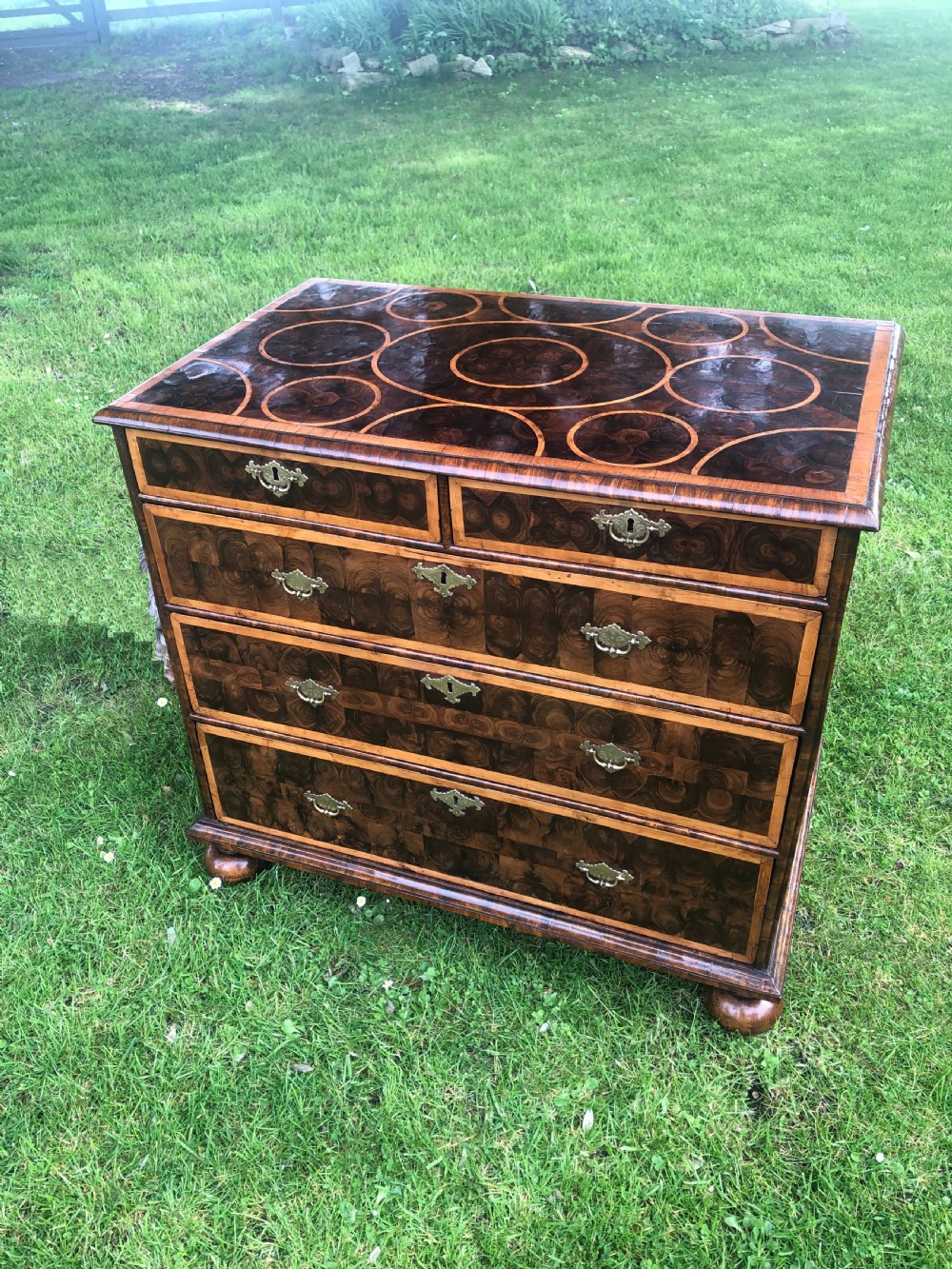A seventeenth-century William and Mary chest of drawers with geometric circle inlay and olivewood oyster veneers resting on bun feet.