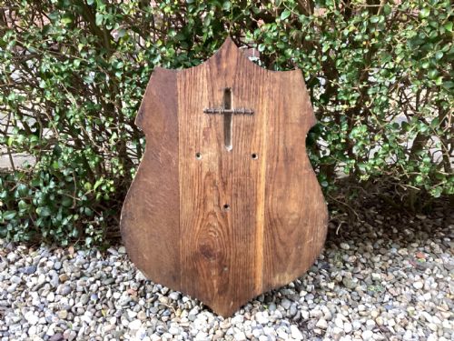 ANTIQUE OAK TAXIDERMY SHIELD - ADDITIONAL PHOTO 1
