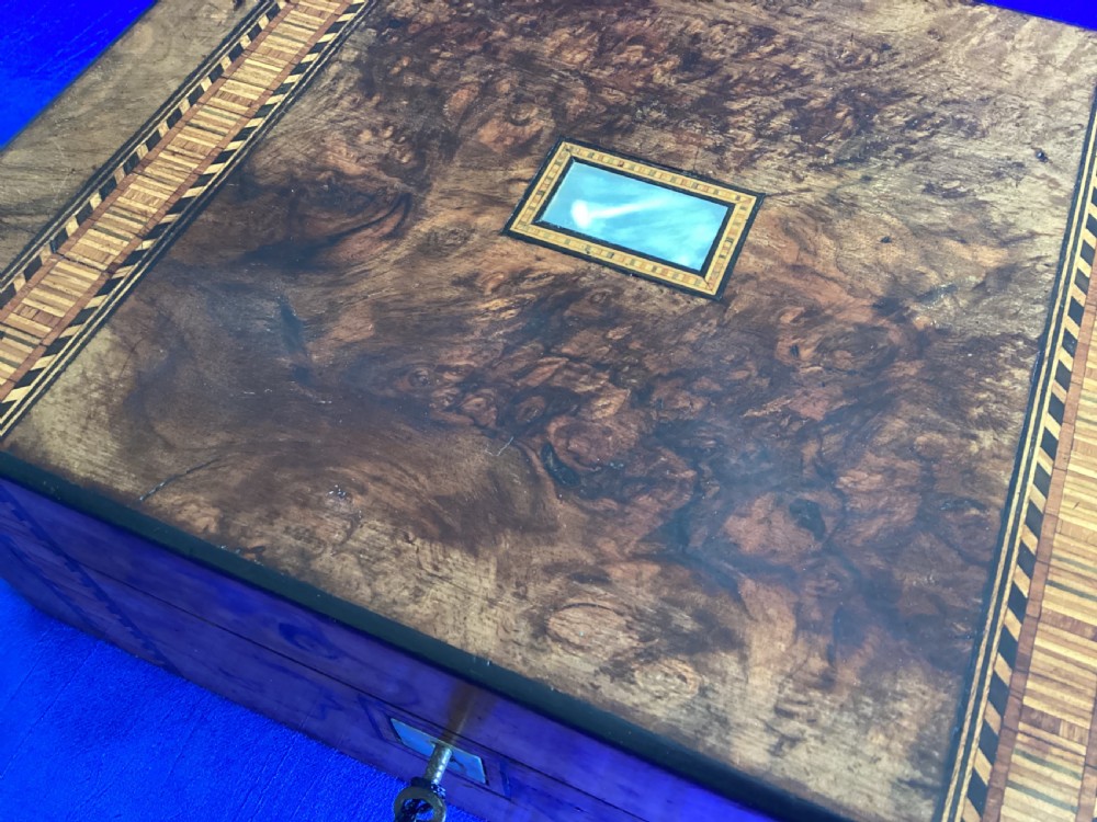 Victorian burr walnut parquetry keepsake box View V