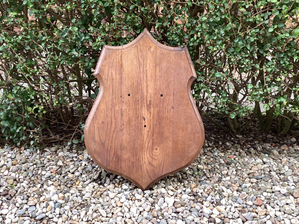 Antique oak taxidermy shield 