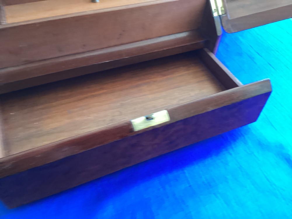 Antique walnut stationary cabinet View VIII