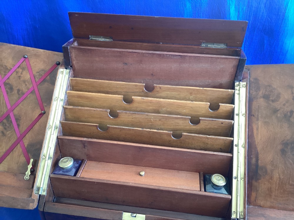Antique walnut stationary cabinet View XII