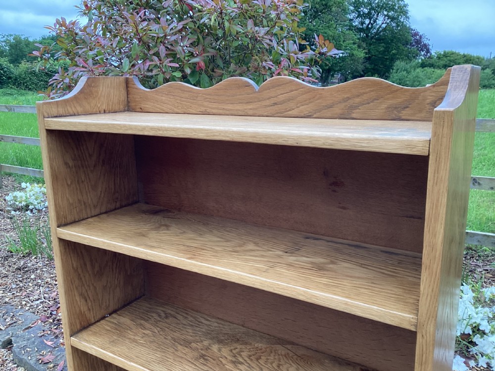 Edwardian oak bookcase View IV