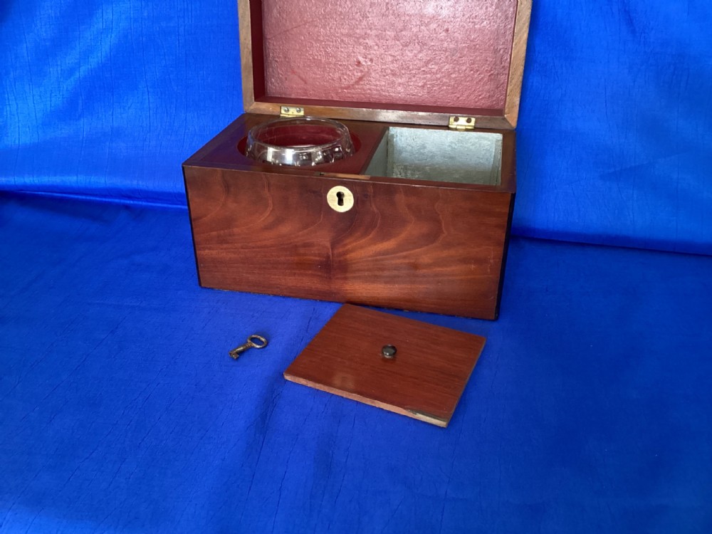 Georgian mahogany tea caddy View III