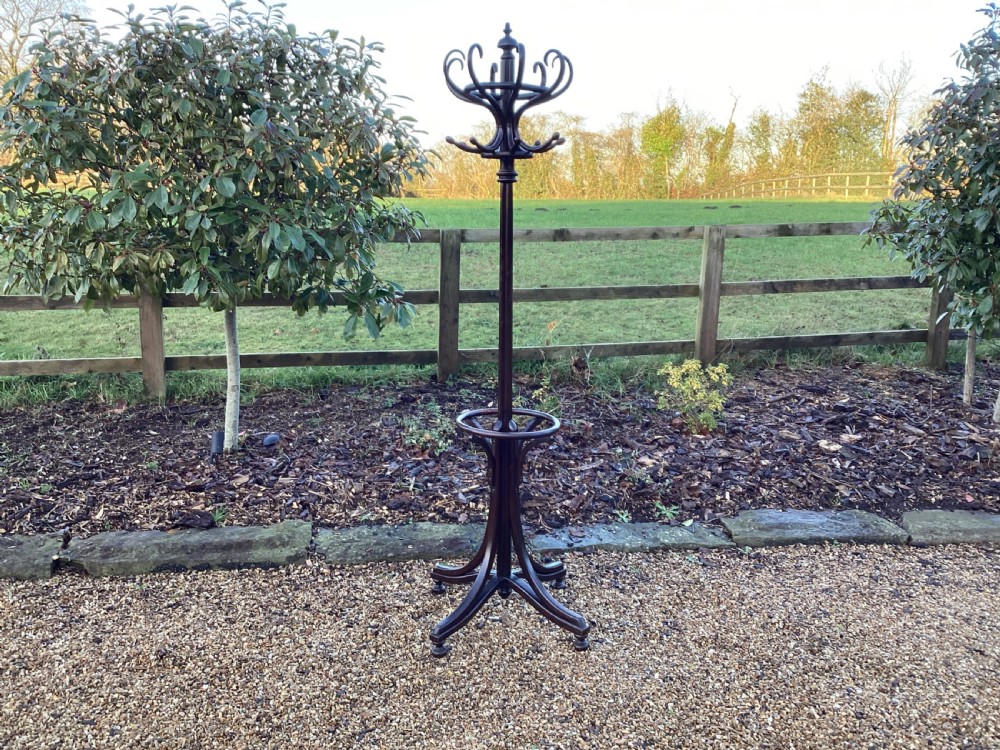 Antique Edwardian  bentwood coat stand View VI