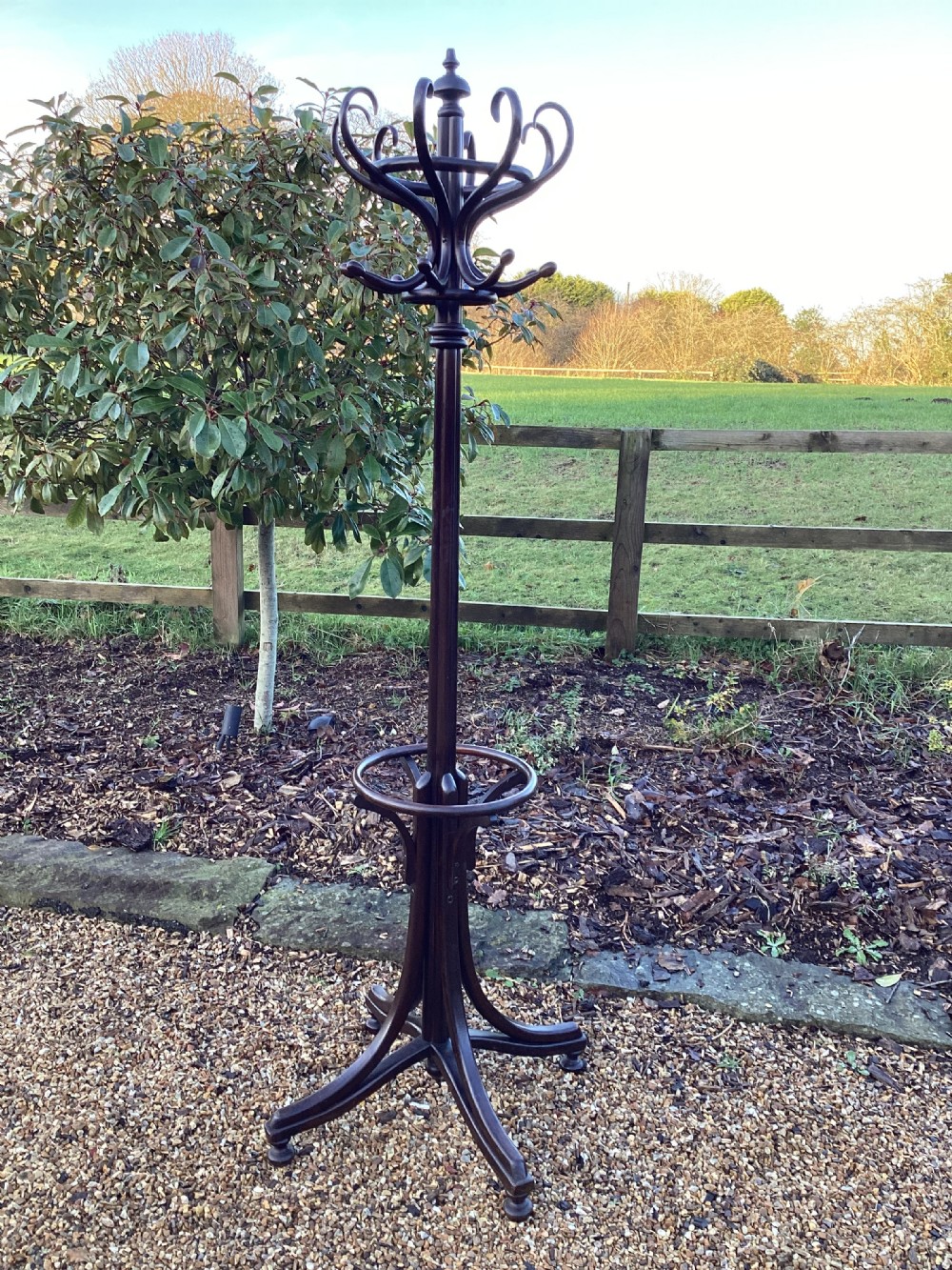 Antique Edwardian  bentwood coat stand View VII