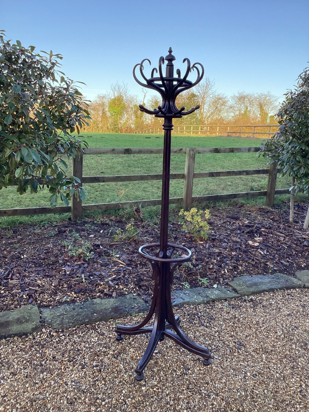 Antique Edwardian  bentwood coat stand View XI
