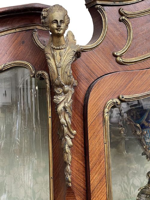 PAIR FRENCH VERNE MARTIN VITRINES CIRCA 1890 - ADDITIONAL PHOTO 6
