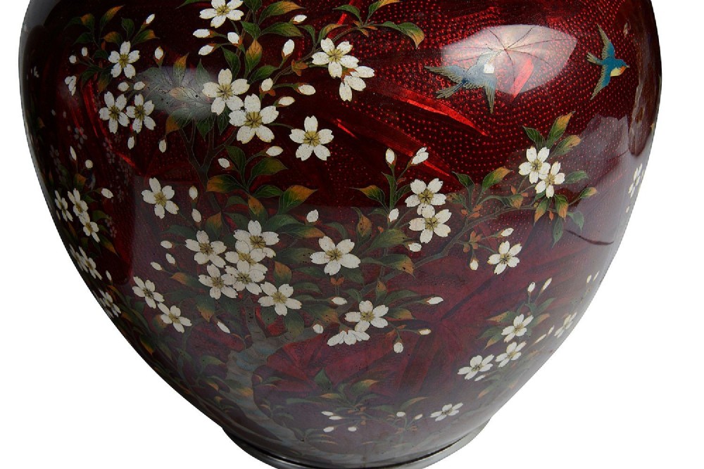Alternate View