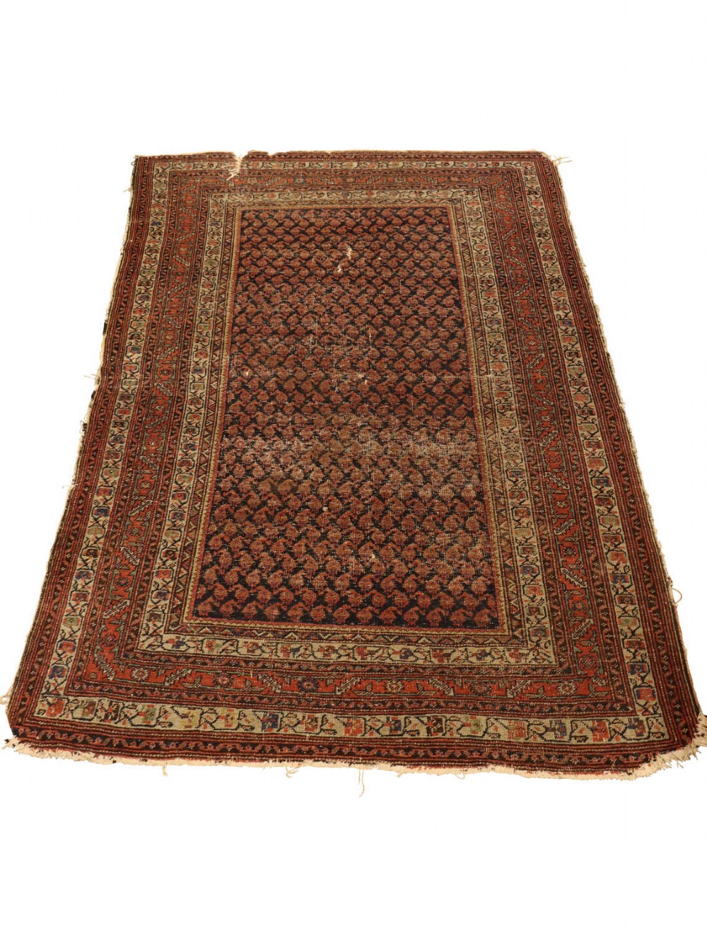 An antique hand-knotted wool rug featuring an all-over repeating navy blue Boteh pattern set within a terracotta red field and multi-banded borders.