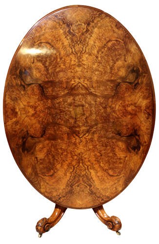 A Victorian oval burr walnut breakfast table featuring rich timber grain and a carved quadrapod base with scroll feet. View III