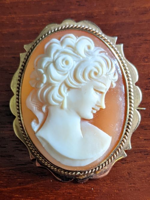Cameo Brooch in 9ct Gold Frame