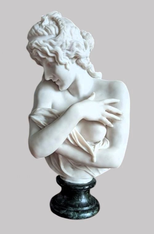A 19th Century Bust of a Young Lady