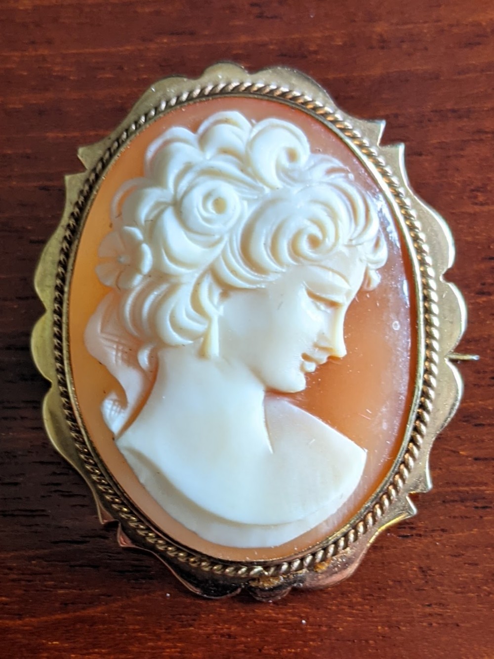 Cameo Brooch in 9ct Gold frame