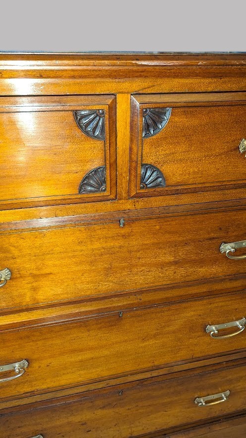 Alternate View