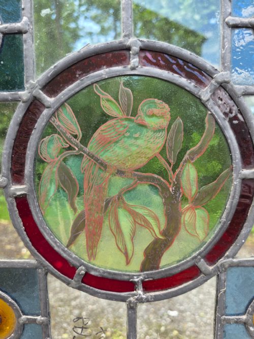 1910 ANTIQUE LEADED GLASS WINDOW AND AMBER BULLSEYES WITH BIRD ON A BRANCH DESIGN - ADDITIONAL PHOTO 1