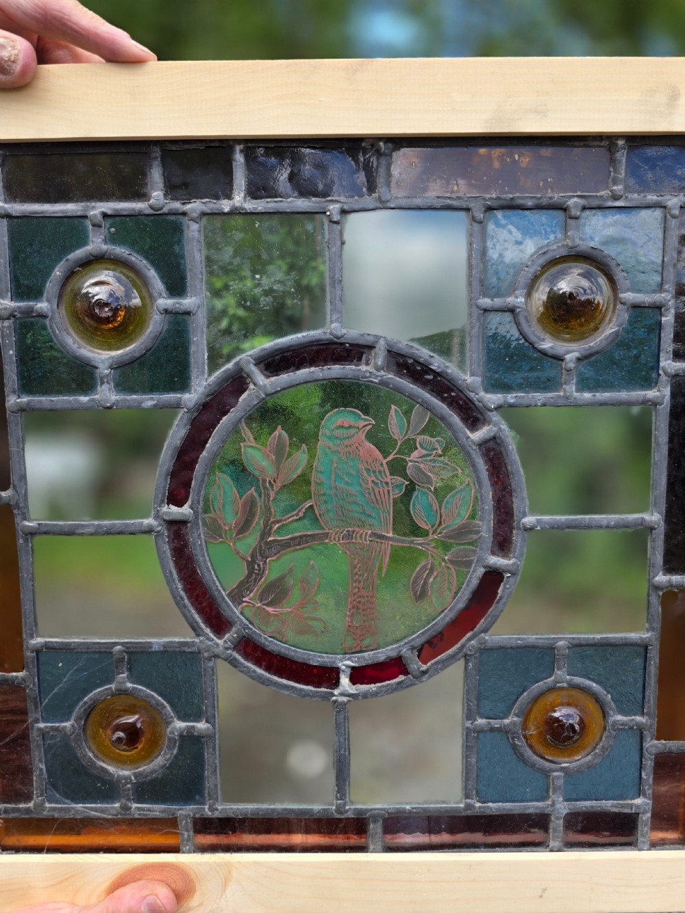 A square leaded stained glass panel featuring a central circular painted yellow bird on a branch, four amber bullseye roundels, and a light wood frame. View IV