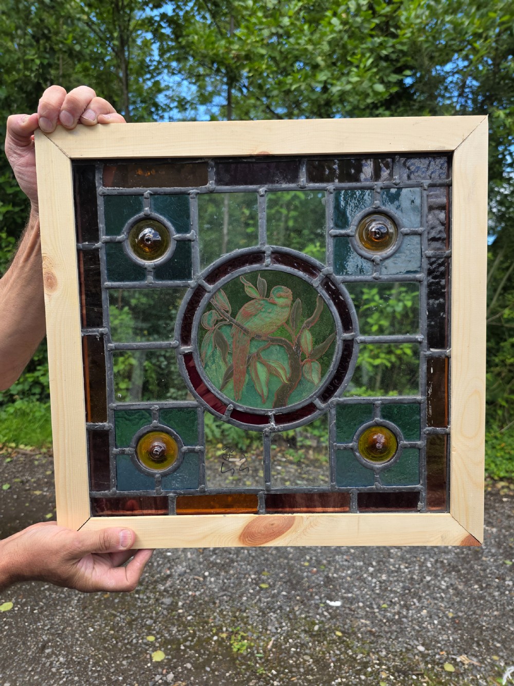 A square Edwardian leaded stained glass window featuring a central circular roundel painted with a green bird on a branch, surrounded by four amber bullseyes.