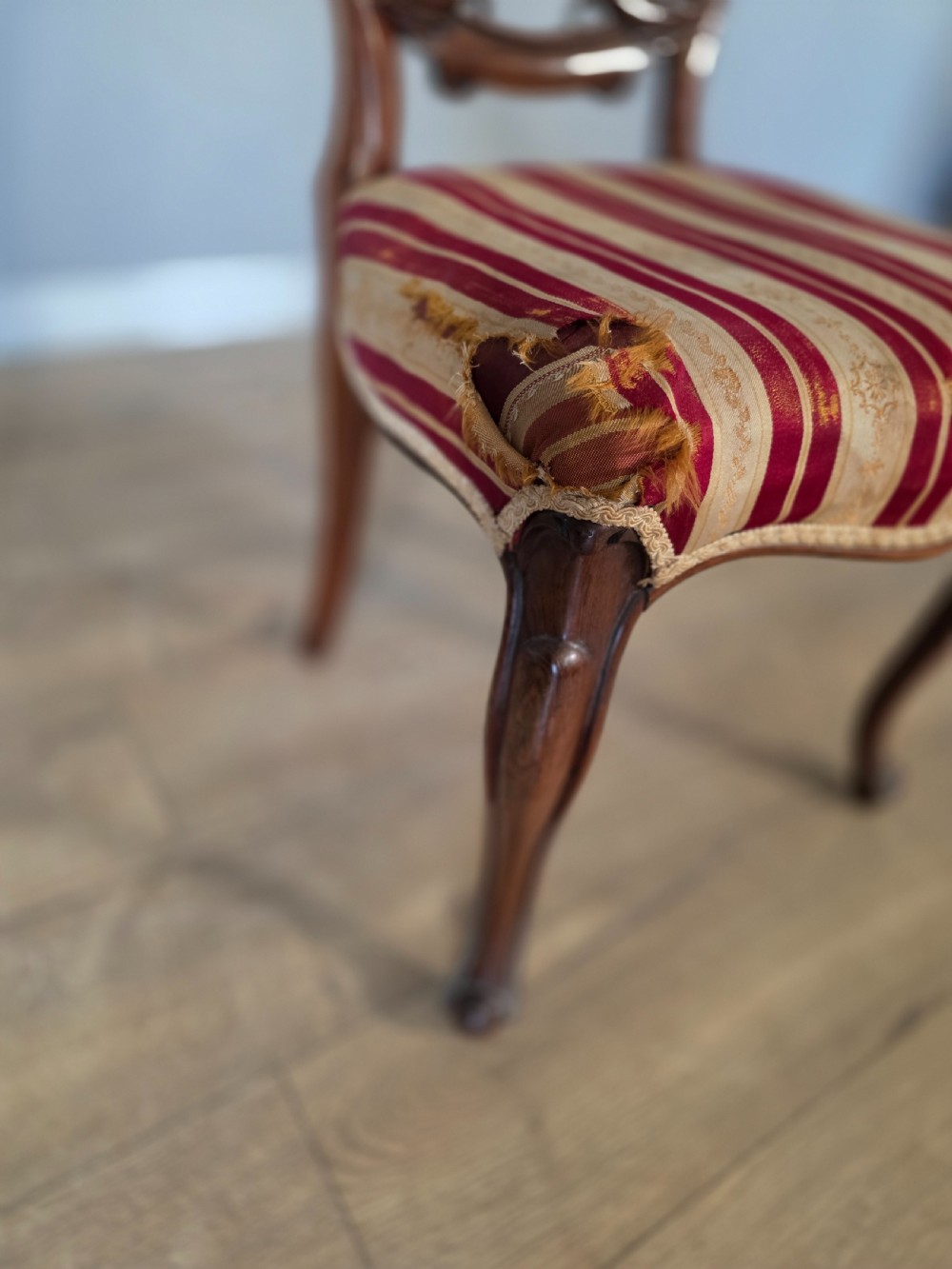 A set of six Victorian rosewood dining chairs featuring open balloon backs, carved waist rails, cabriole legs, and red and gold striped upholstered seats. View XII
