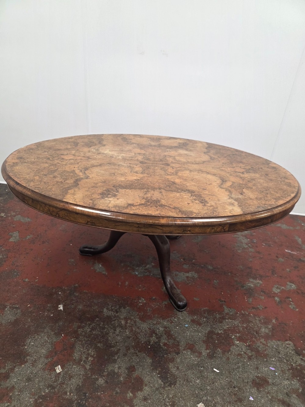 An oval low coffee table featuring a figured burr walnut top set on a dark cast iron tripod base.