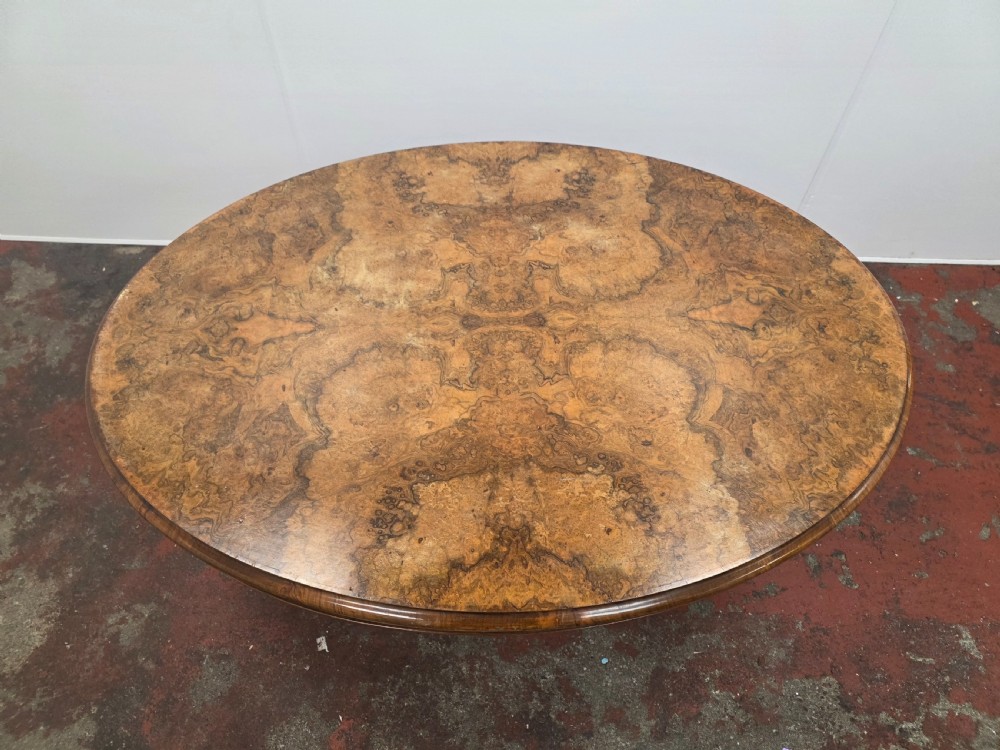 An oval low coffee table featuring a figured burr walnut top set on a dark cast iron tripod base. View III
