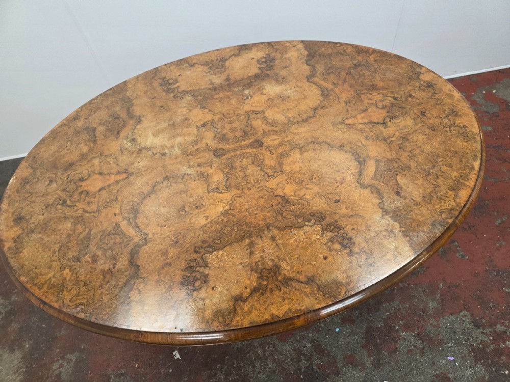 An oval low coffee table featuring a figured burr walnut top set on a dark cast iron tripod base. View IV