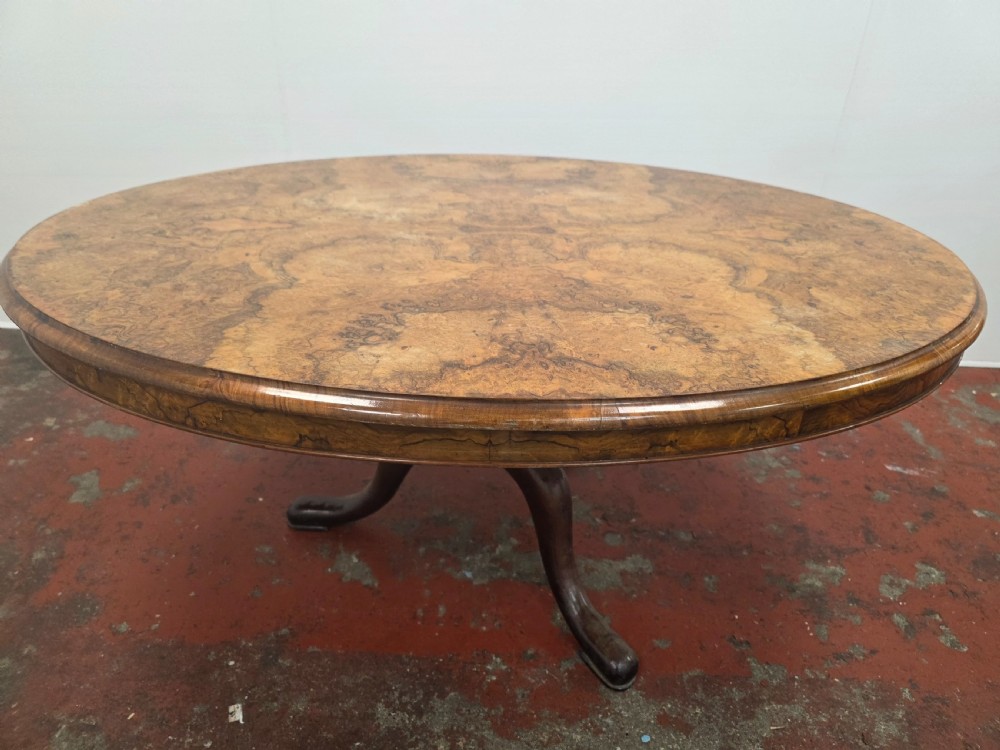An oval low coffee table featuring a figured burr walnut top set on a dark cast iron tripod base. View VIII