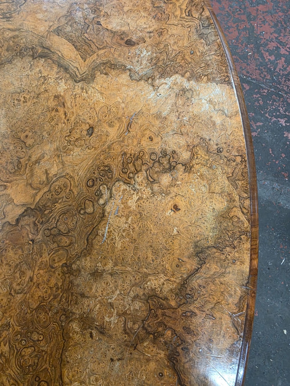 An oval low coffee table featuring a figured burr walnut top set on a dark cast iron tripod base. View X