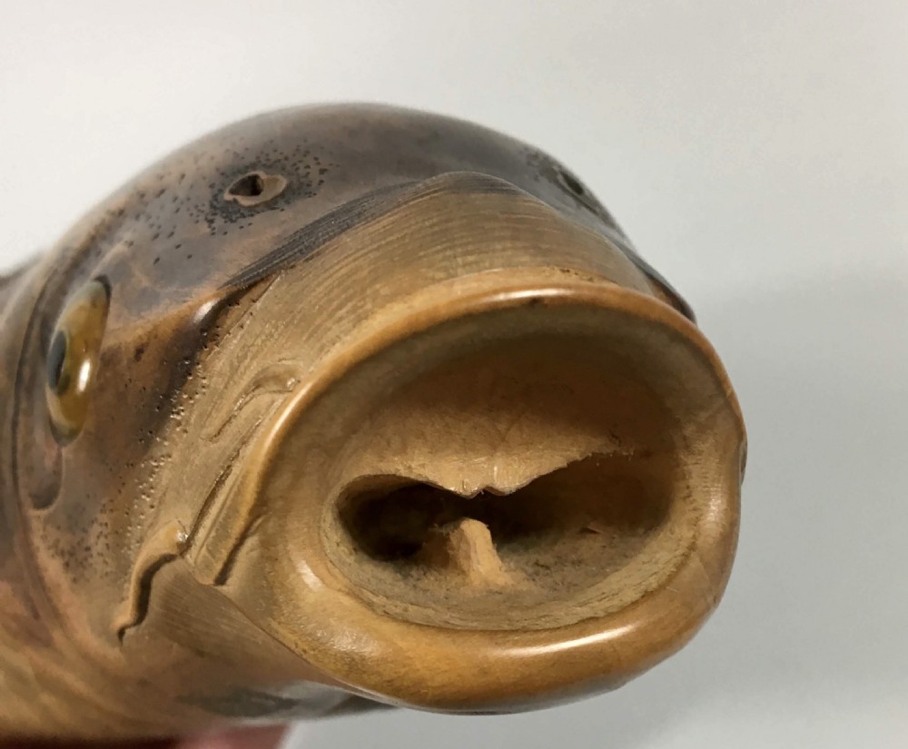 Japanese carved wood carp okimono. Nishikawa Suketsugu, Meiji Period. View XI