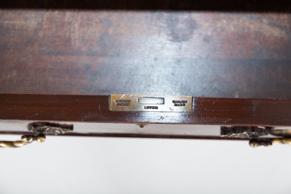 Alternate View